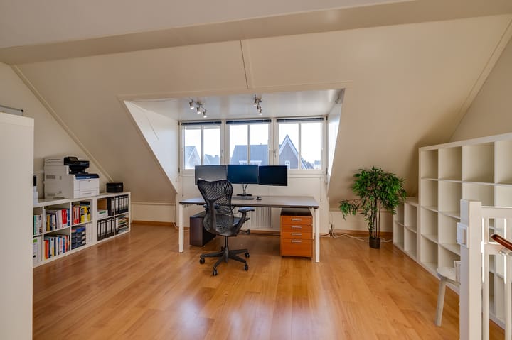 Foto 28 van Coniferenhout 19