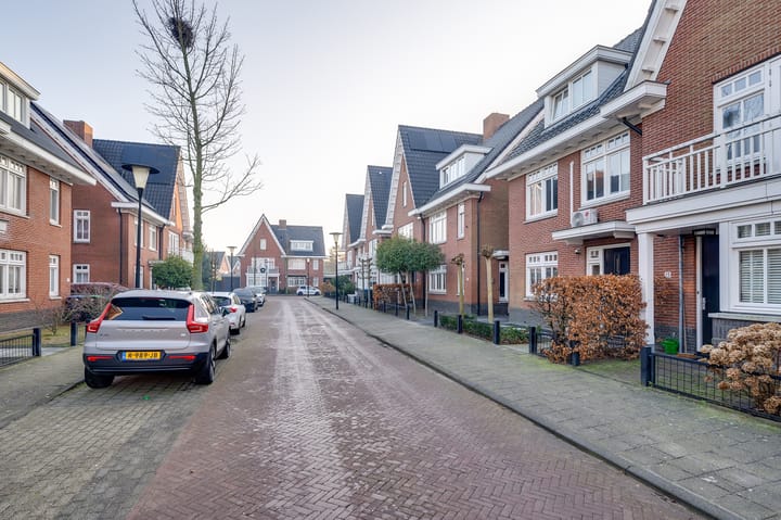 Foto 31 van Coniferenhout 19