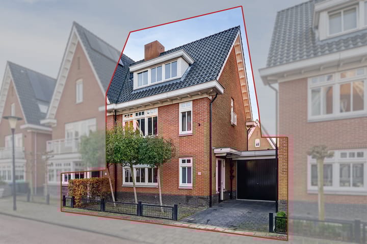 Foto 32 van Coniferenhout 19