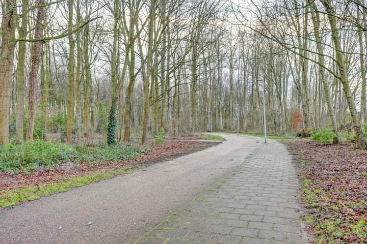 Foto 47 van Bertus Aafjeshof 81