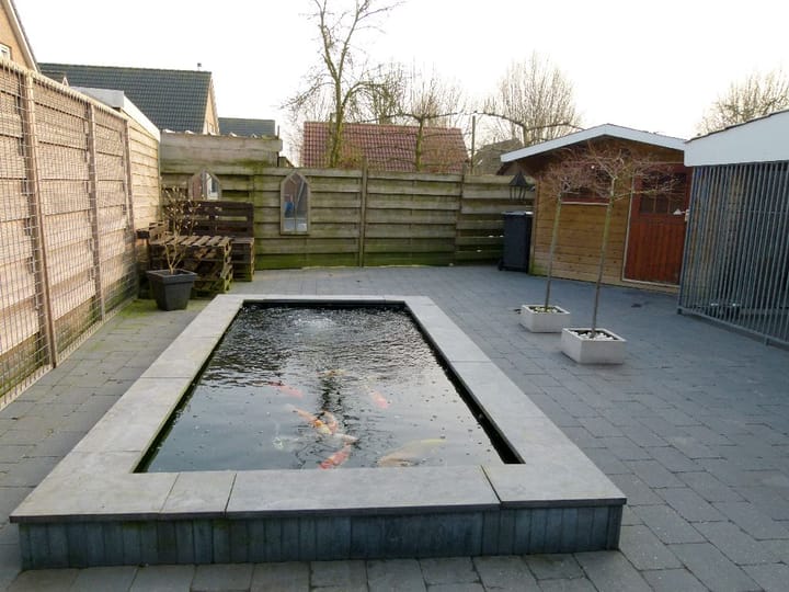 Foto 6 van De Markgraven 109