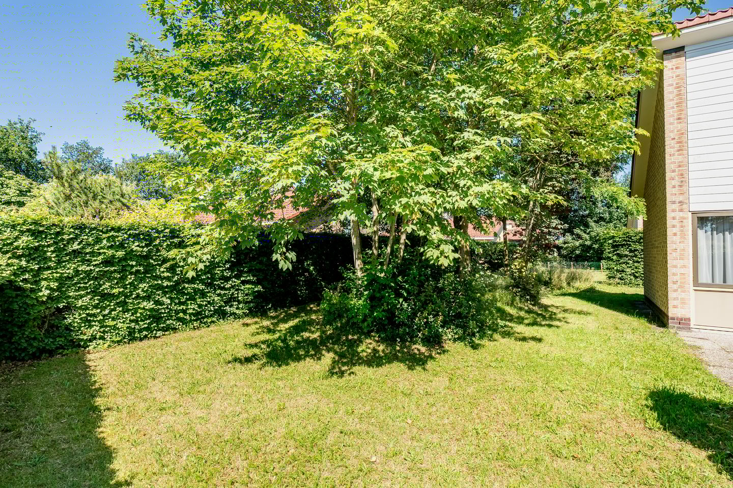 Foto 34 van Lindenlaan type Vecht