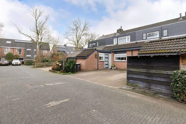 Foto 5 van Moeflon 5