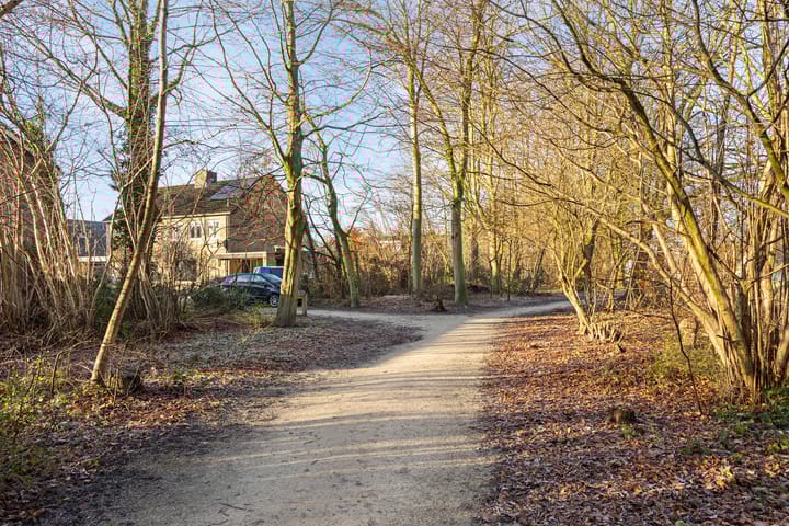 Foto 37 van De Dissel 4