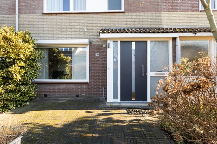 Foto 4 van Struisgras 16