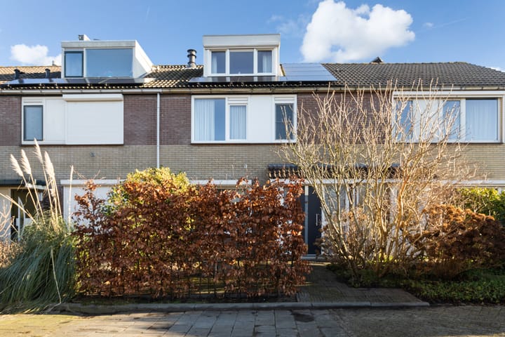 Foto 41 van Struisgras 16