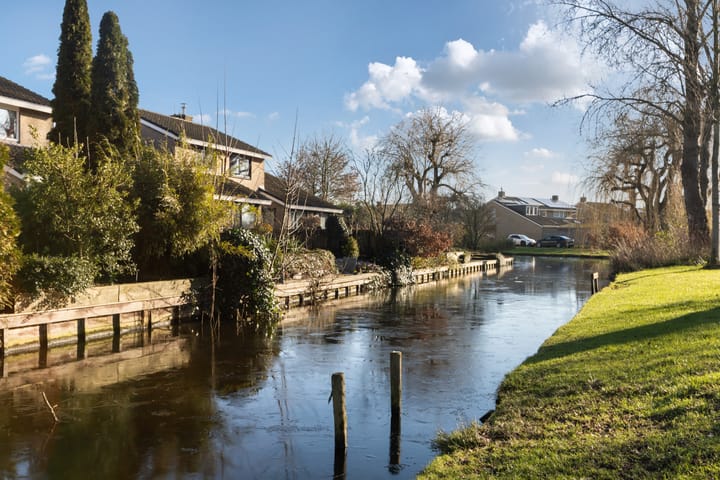 Foto 43 van Struisgras 16