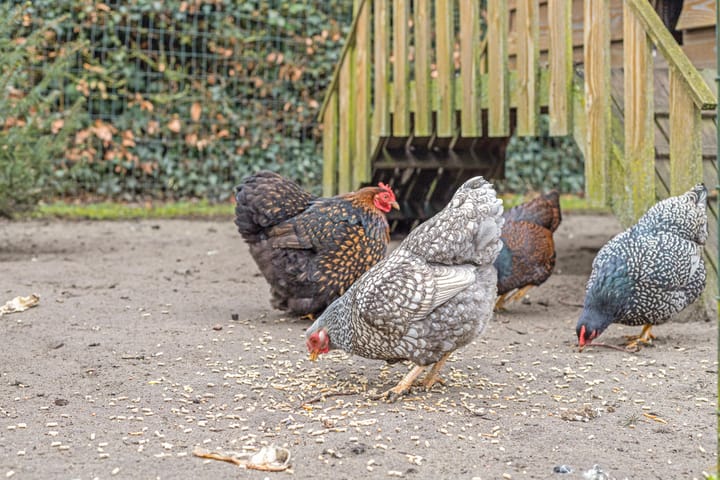 Foto 34 van Kloosterstraat 19