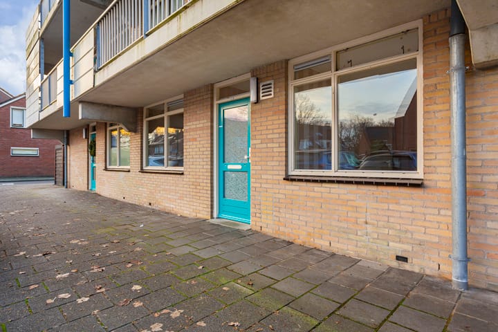 Foto 4 van Ebbenhorst 3