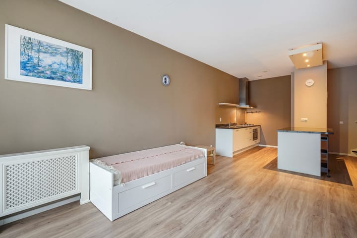 Foto 10 van Treubstraat 12-F005