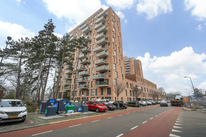 Foto 29 van Treubstraat 12-F005