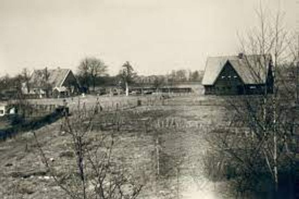 Foto 3 van Mussenstraat 32