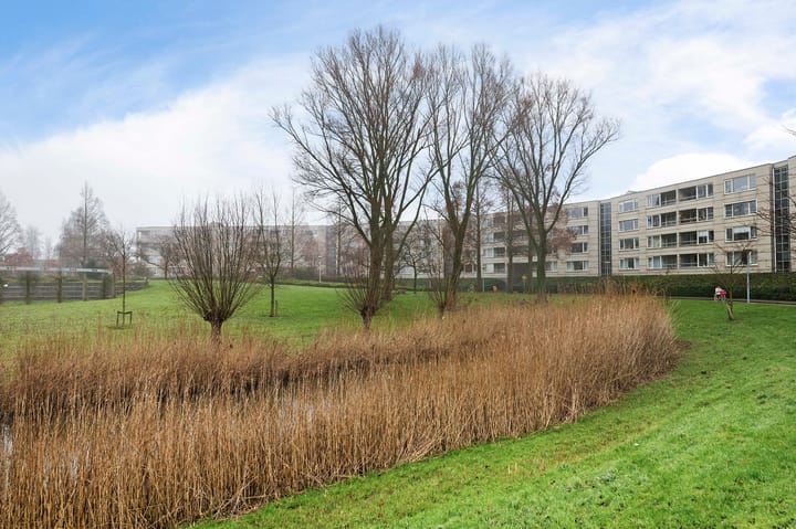 Photo 6 of Femina Mullerstraat 279