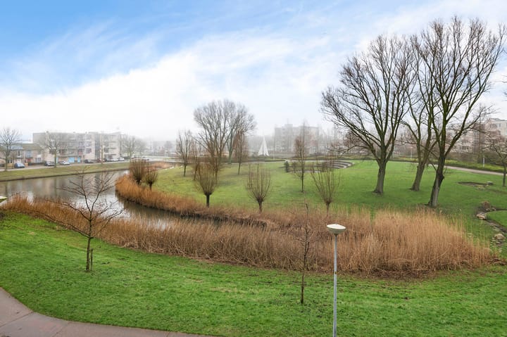 Photo 36 of Femina Mullerstraat 279