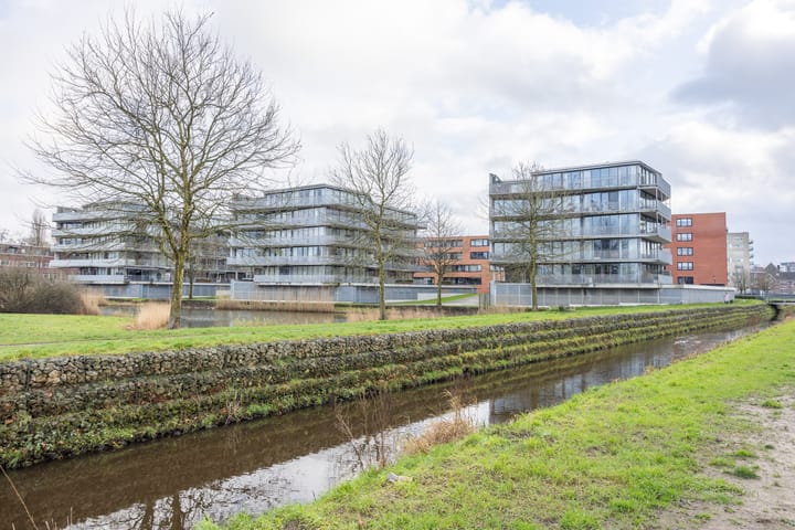 Foto 7 van Algonquin 25