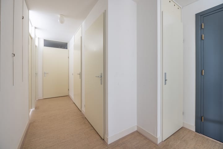 Foto 31 van Algonquin 25