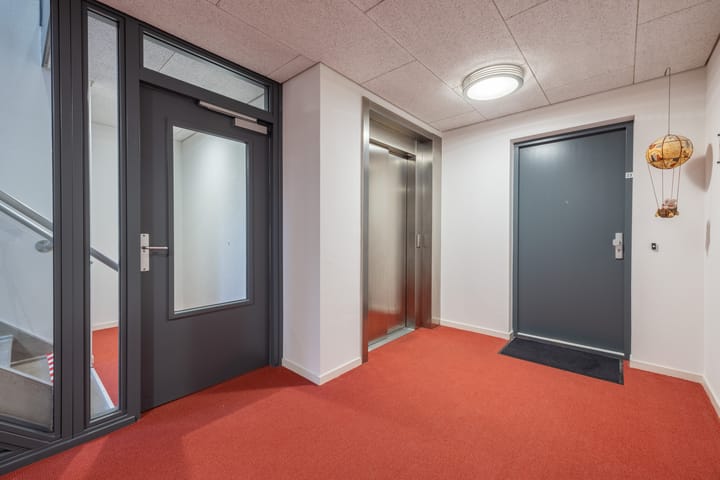 Foto 41 van Algonquin 25