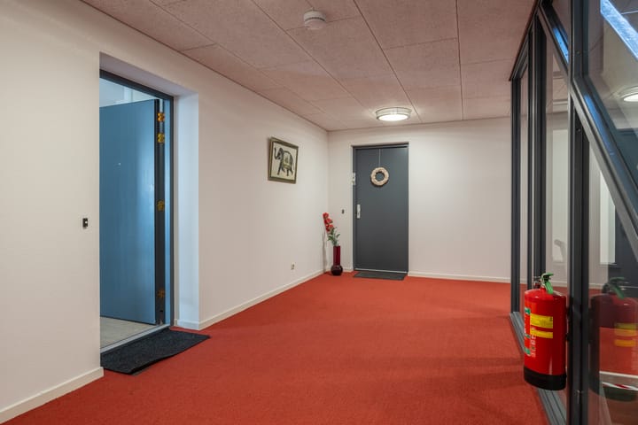 Foto 43 van Algonquin 25