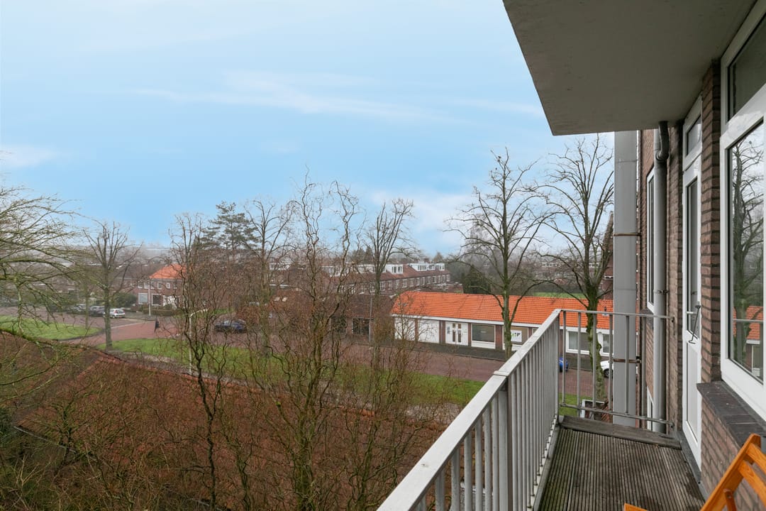 Foto 43 van Graaf Hendrik III laan 119-B