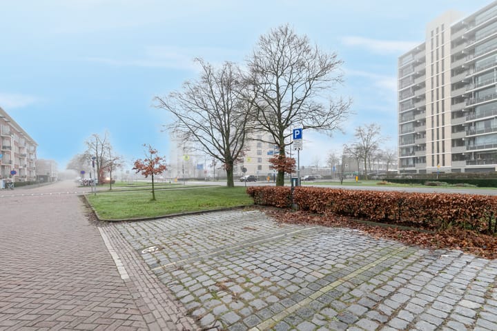 Photo 51 of Graaf Hendrik III laan 119-B