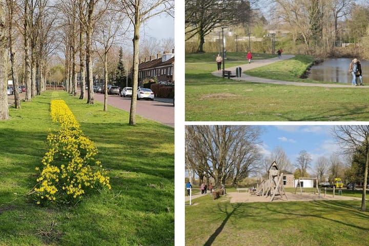 Photo 54 of Graaf Hendrik III laan 119-B