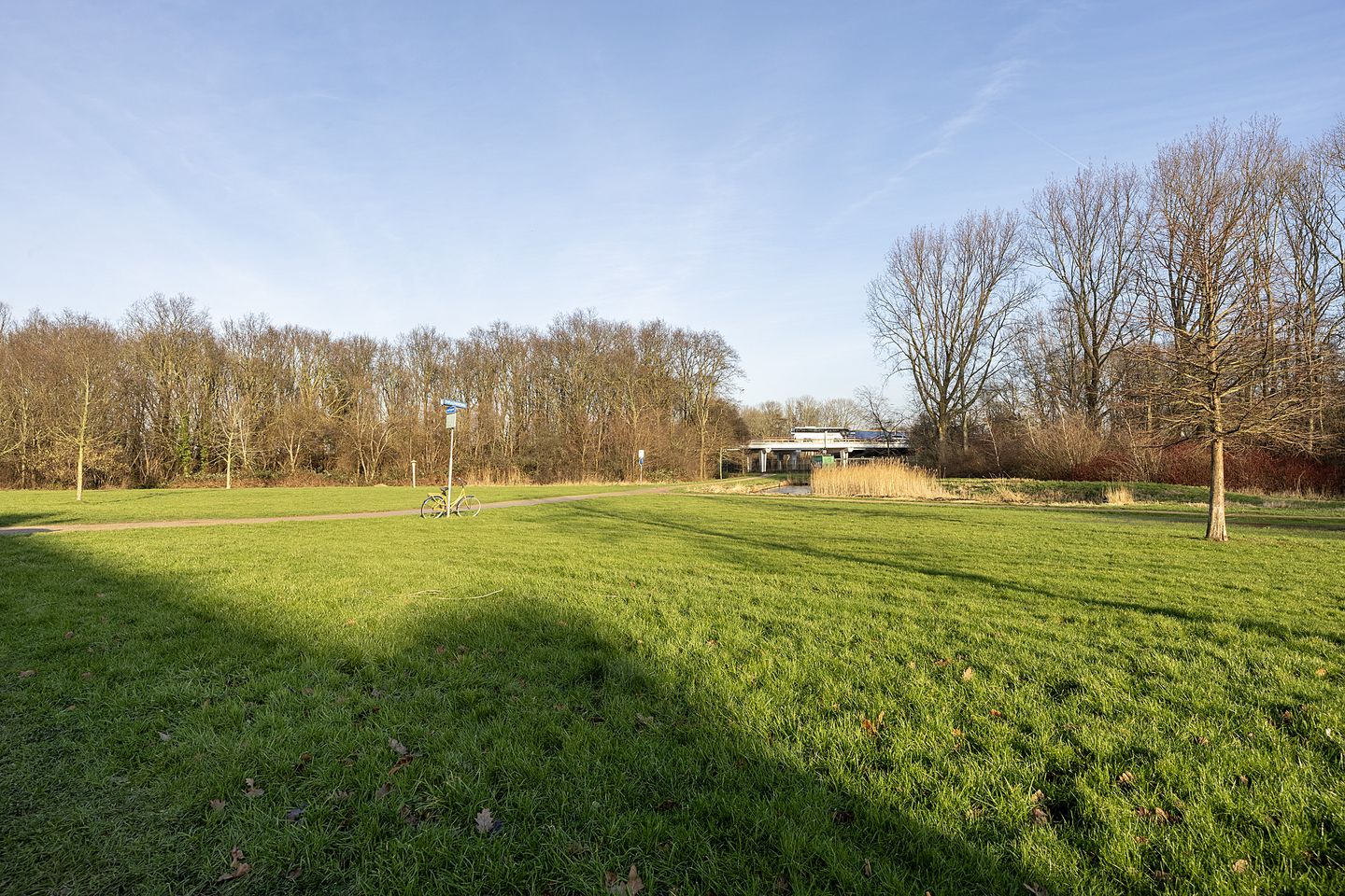 Foto 55 van Wijkeroogstraat 56