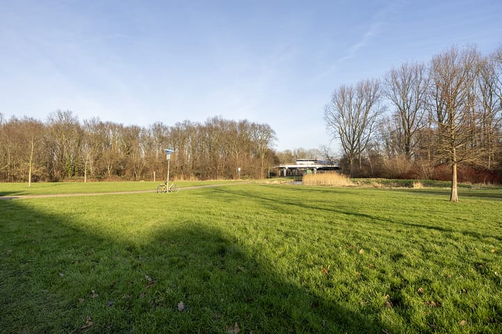 Foto 55 van Wijkeroogstraat 56