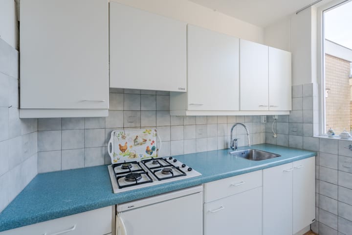 Foto 11 van Gerard Douplein 8