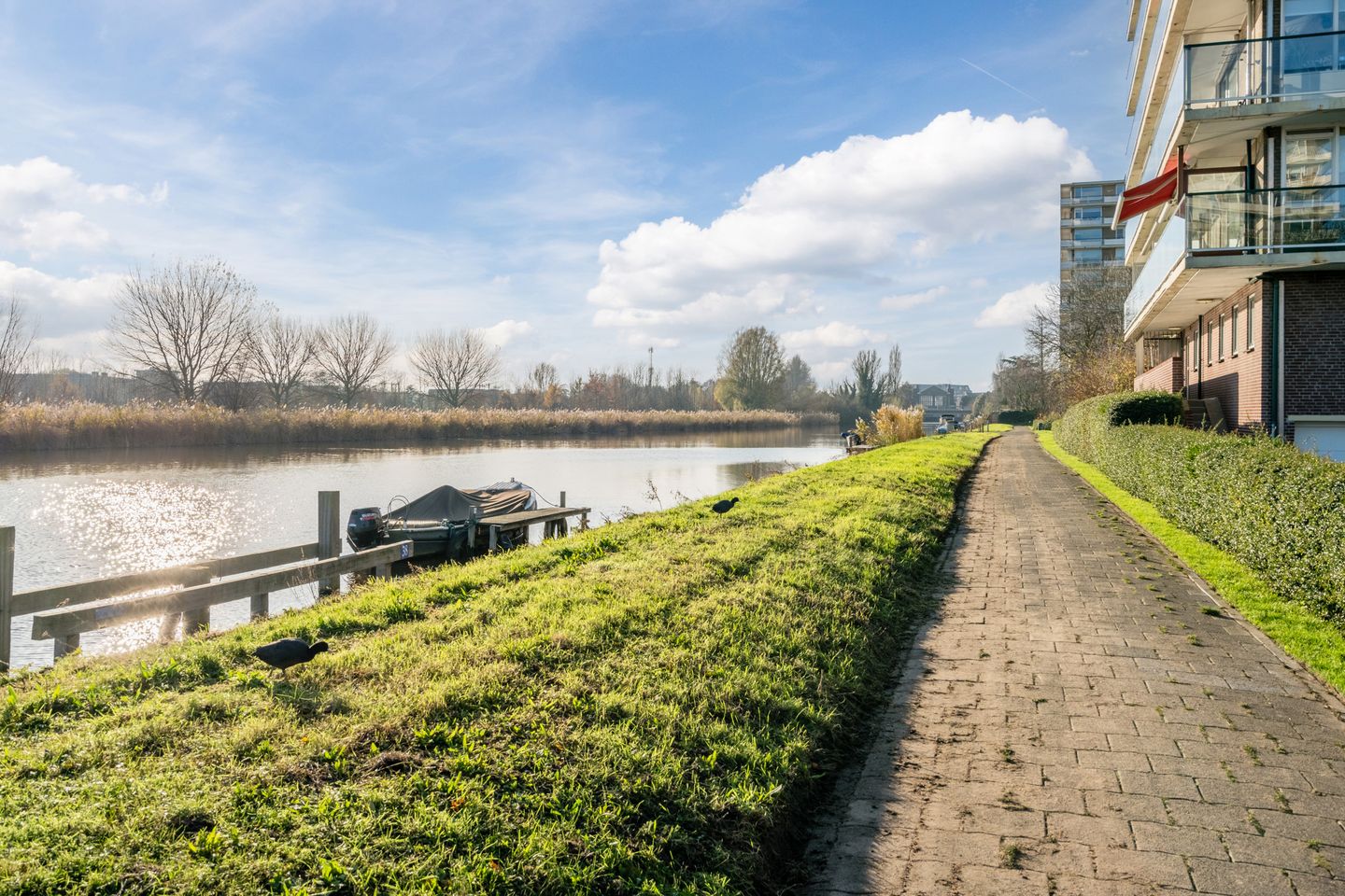 Foto 44 van Gerard Douplein 8