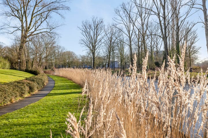 Foto 45 van Rietbergstraat 40