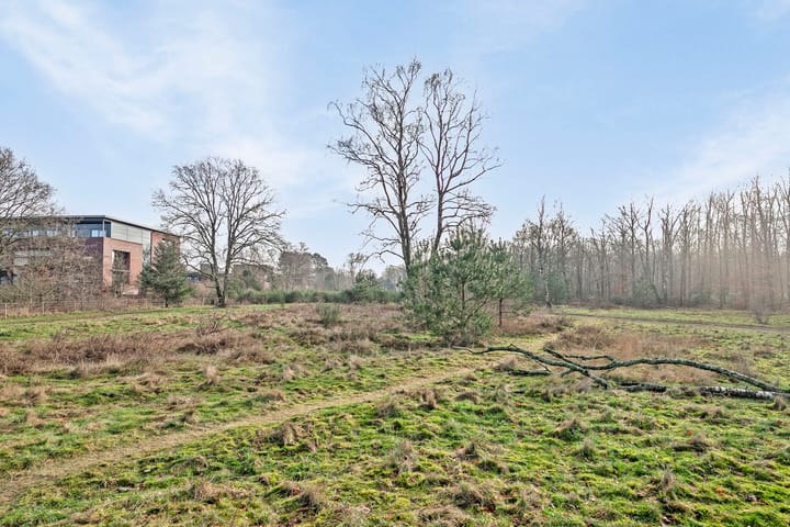 Foto 33 van Kolhornseweg 149