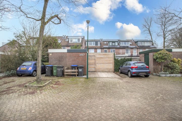 Foto 39 van Reigerskamp 287