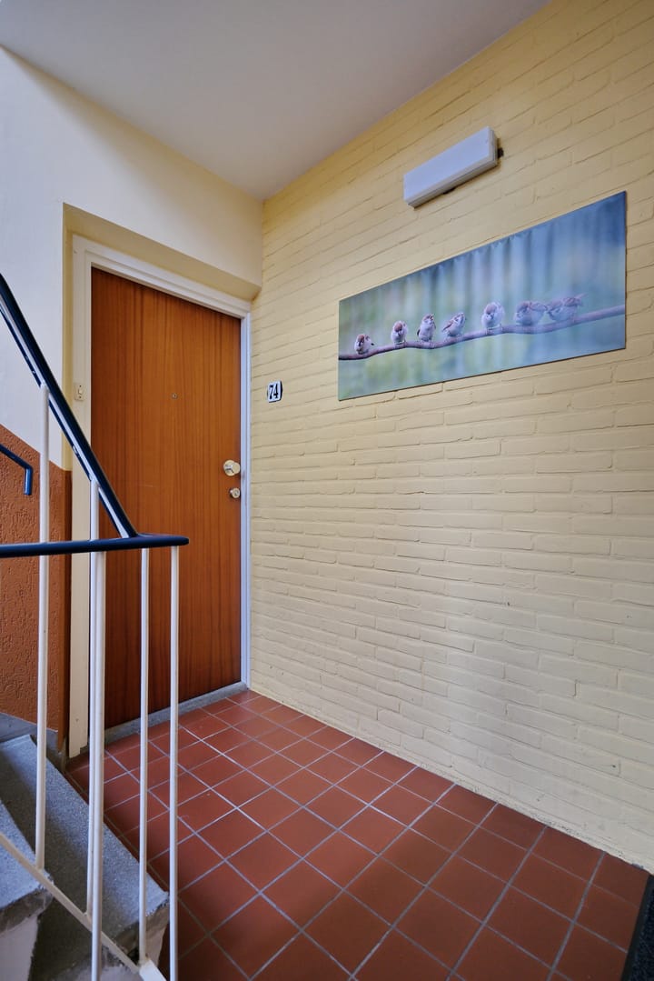 Foto 17 van Sweelincklaan 74