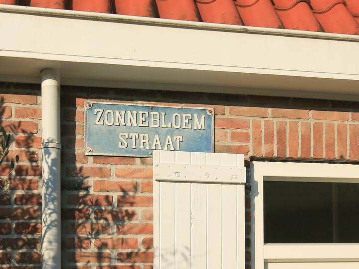 Foto 42 van Zonnebloemstraat 60