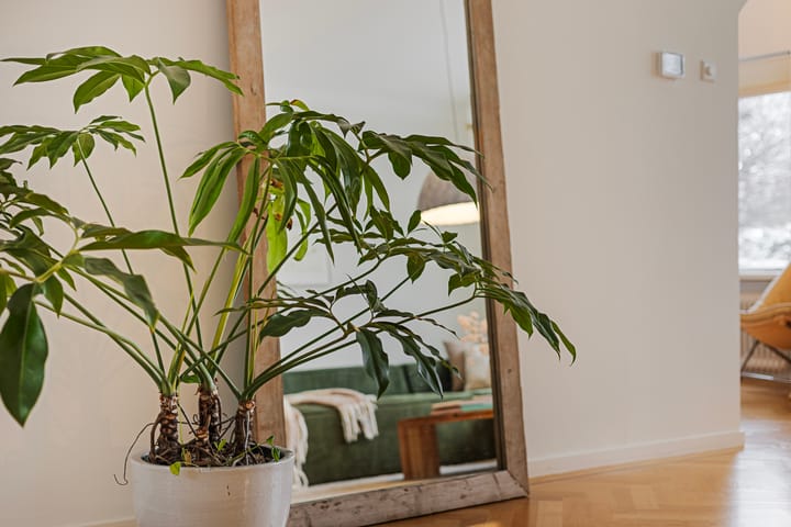 Foto 17 van Weissenbruchstraat 30