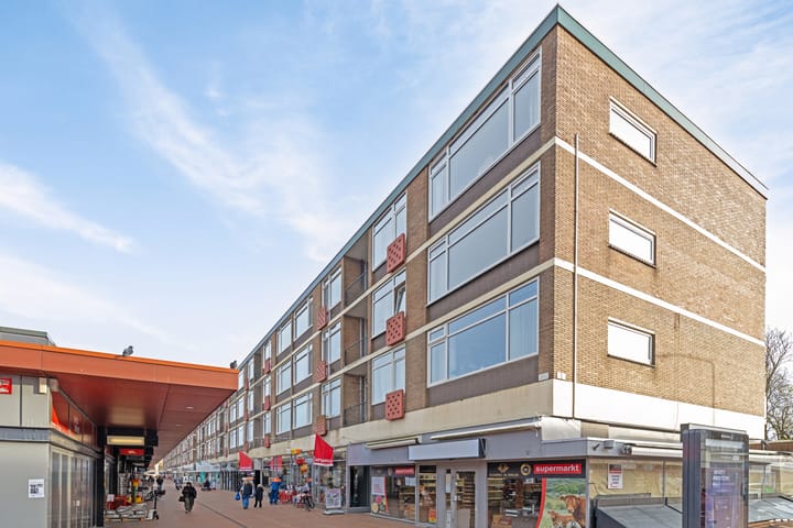 Foto 21 van Vijf Meiplein 164