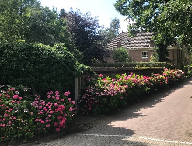 Foto 30 van Rhijnhofweg 2-B