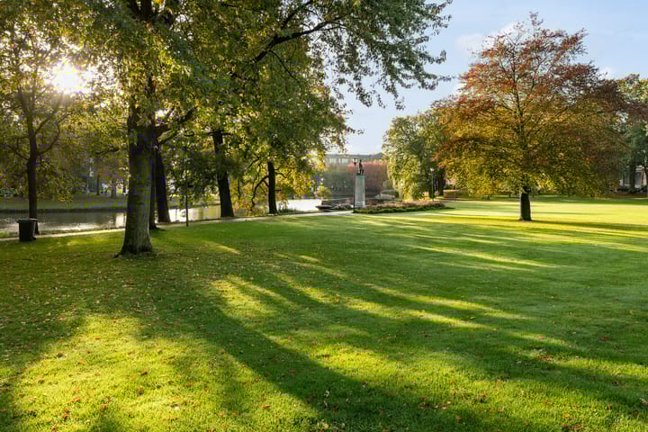 Foto 26 van Hagelstraat 6