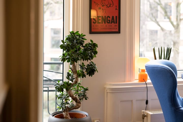 Foto 12 van Bergselaan 143-A