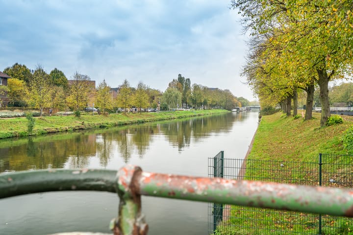 Foto 30 van Laan van Nieuw-Guinea 43-H
