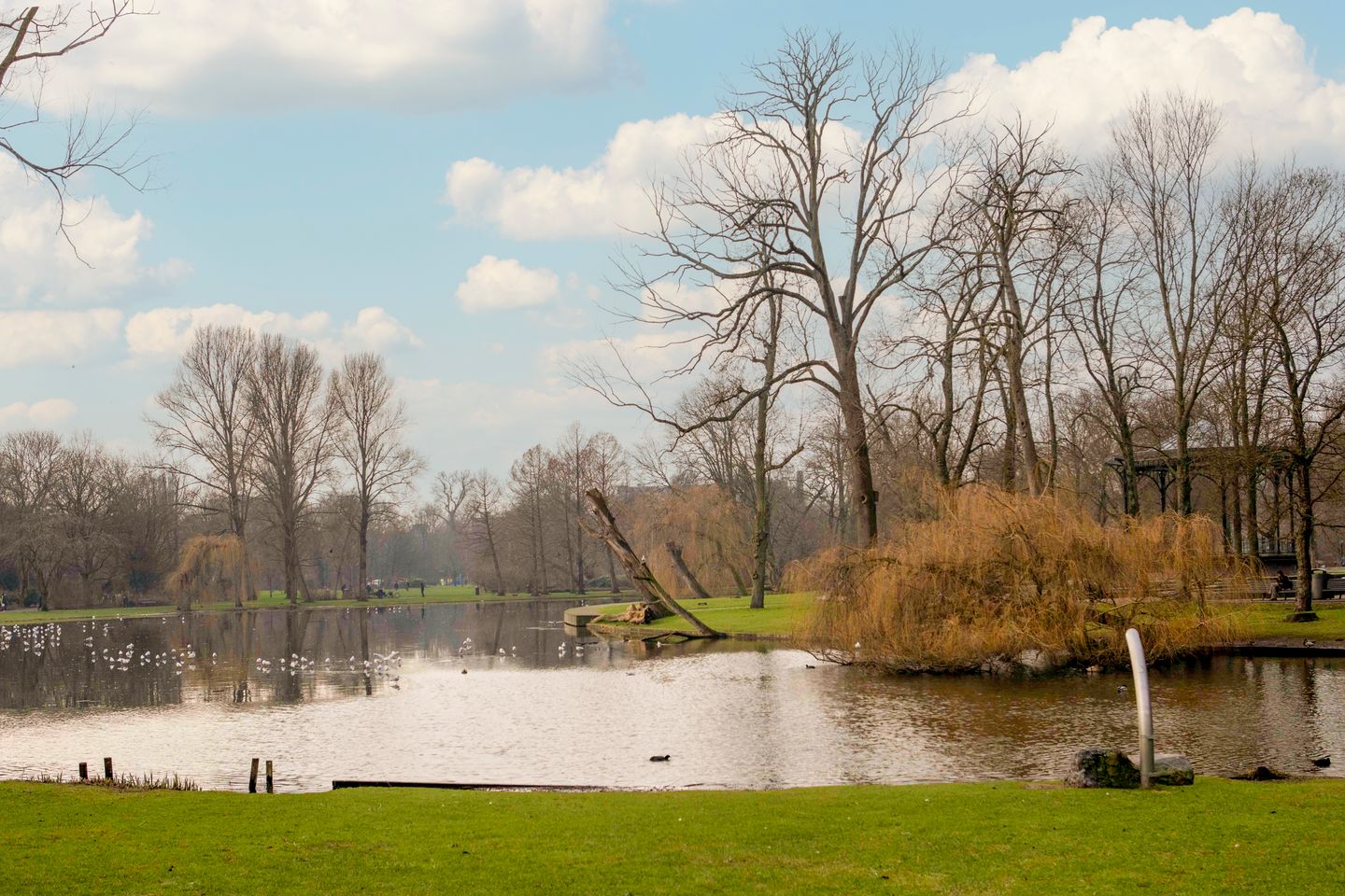 Foto 25 van Wagenaarstraat 143