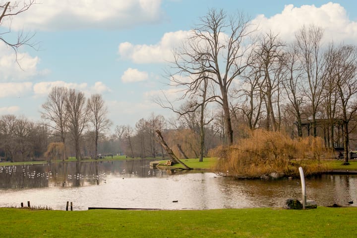 Foto 25 van Wagenaarstraat 143