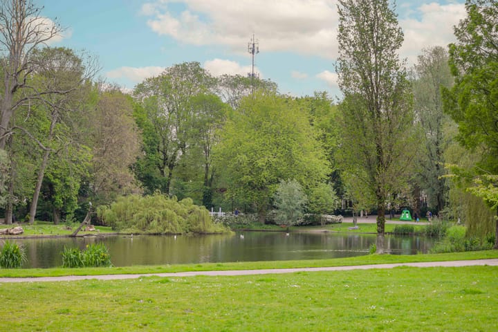 Foto 27 van Wagenaarstraat 143