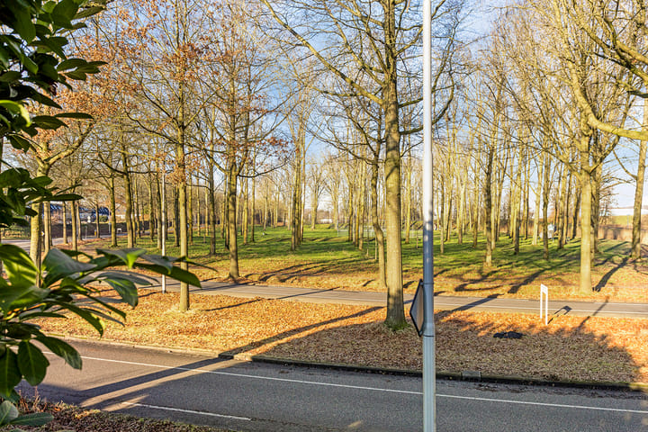 Foto 33 van Besoijenstraat 42