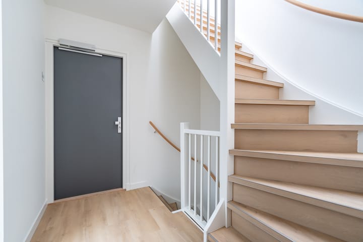 Foto 3 van Laan van Nieuw-Guinea 43-F