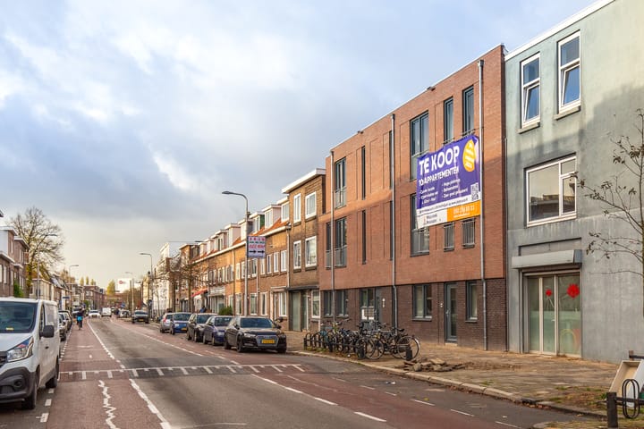 Foto 23 van Laan van Nieuw-Guinea 43-F