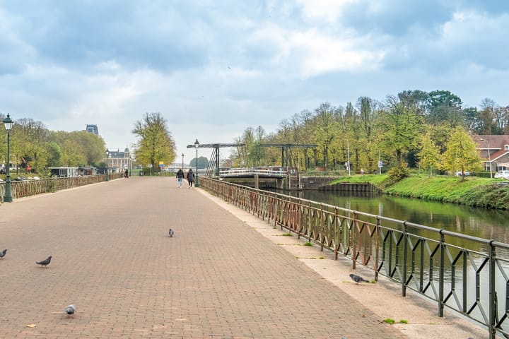 Foto 30 van Laan van Nieuw-Guinea 43-F