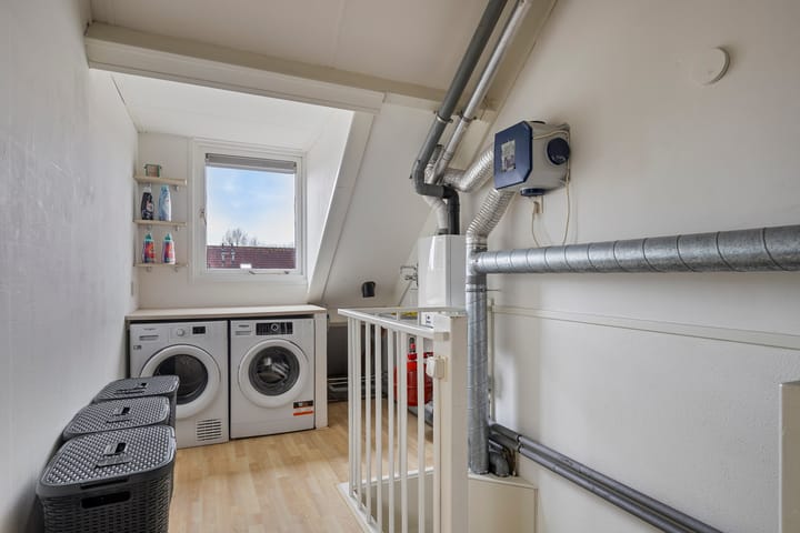 Foto 28 van Duifkruid 27