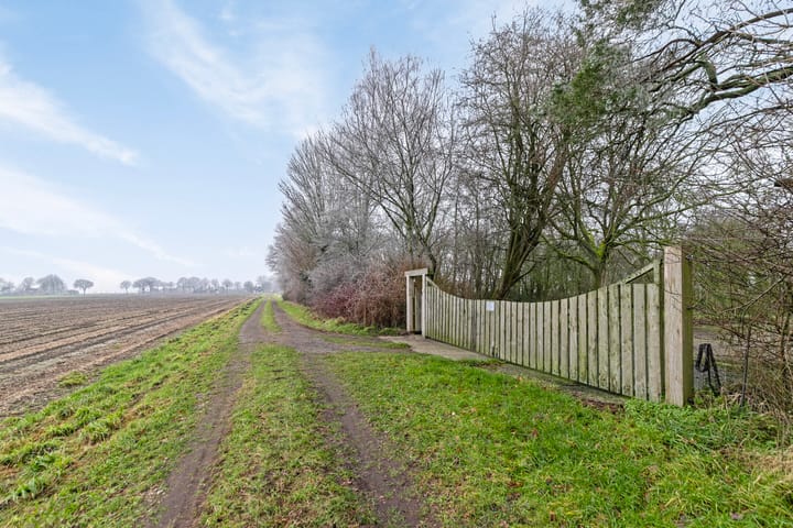 Foto 76 van Guitpad 11