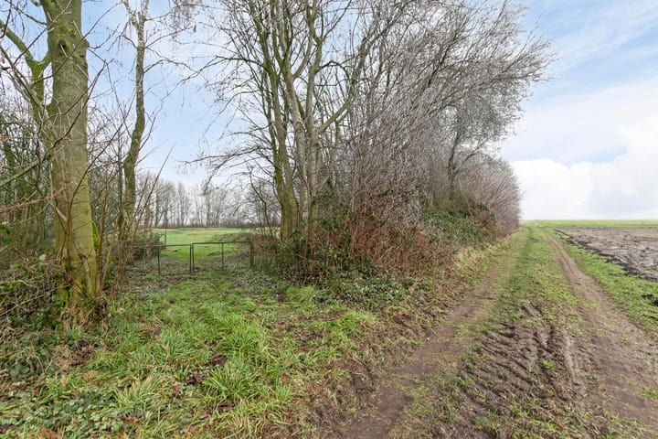 Foto 85 van Guitpad 11